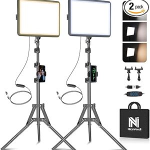 2-Pack LED Video Light Kit, Dimmable 2800–6500K Studio Lights with Tripod Stand & Phone Holder, 73" Streaming/Recording Lighting Kit